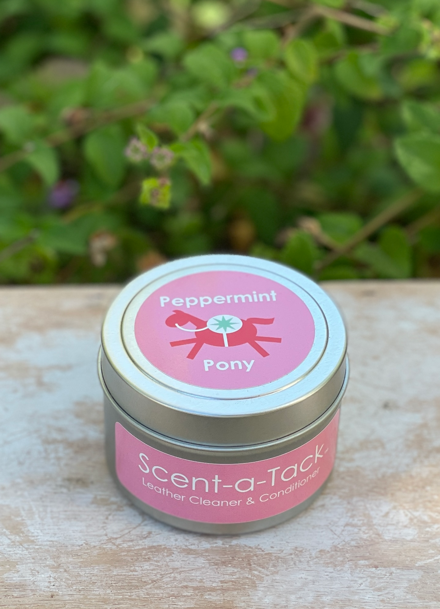 Peppermint Pony Tin