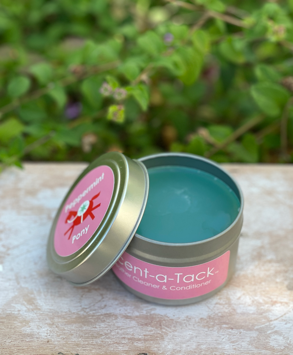 Peppermint Pony Tin